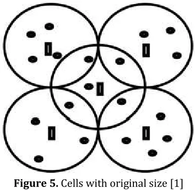 Figure 5. Cells with original size [1]  