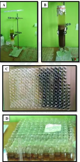 Gambar 6. Proses koromatografi kolom 