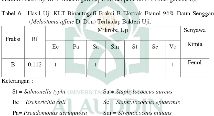 Tabel 6.  Hasil Uji KLT-Bioautogafi Fraksi B Ekstrak Etanol 96% Daun Senggani 