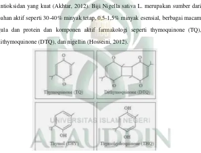 Gambar 1. Struktur kimia dari zat aktif Nigella sativa: TQ, DTQ, THY, THQ (Salem, 2005)