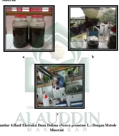 Gambar 4.Hasil Ekstraksi Daun Delima (Punica granatum L.) Dengan Metode 
