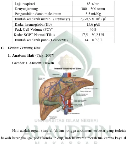 Gambar 1. Anatomi Hewan 