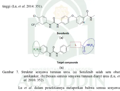 Gambar 7. Struktur senyawa turunan urea. (a) Sorafenib salah satu obat 
