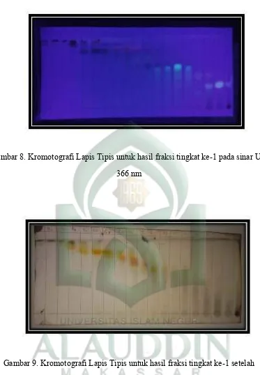 Gambar 8. Kromotografi Lapis Tipis untuk hasil fraksi tingkat ke-1 pada sinar UV 