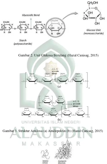 Gambar 4. Amilosa dan Amilopektin (Hazal Canisag, 2015) 