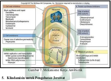 Gambar 7. Mekanisme Kerja Antibiotik 