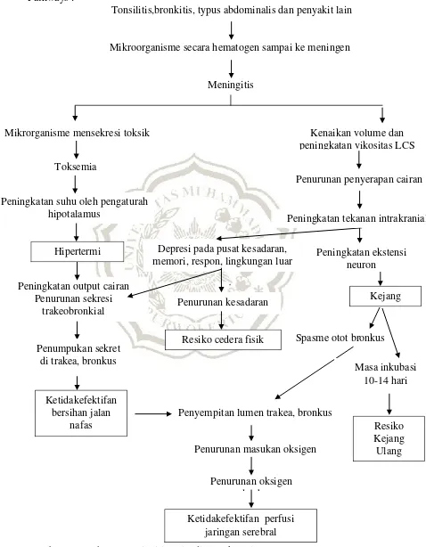 Gambar 2.1. Pathway meningitis (Riyadi & Sukarmin, 2009). 
