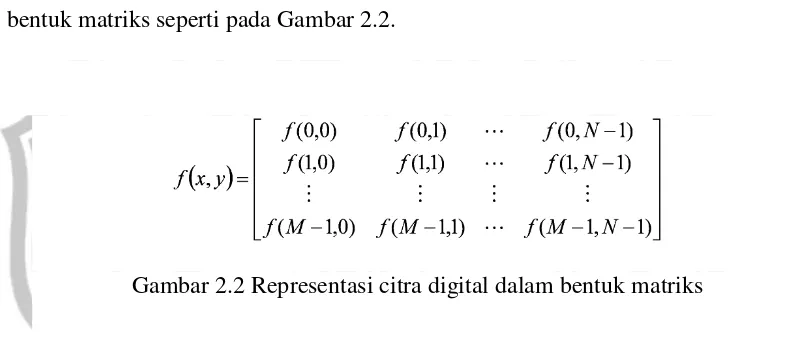 Gambar 2.2 Representasi citra digital dalam bentuk matriks 