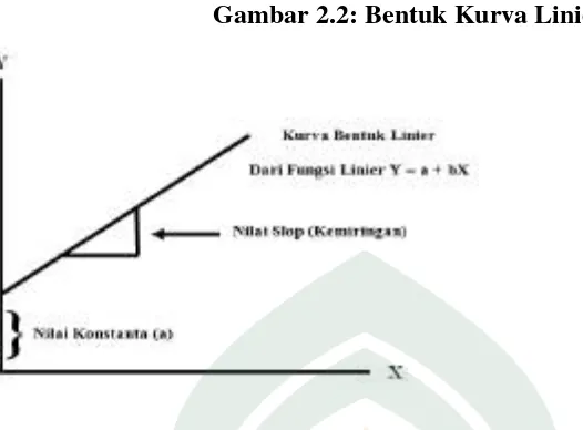 Gambar 2.2: Bentuk Kurva Linier 