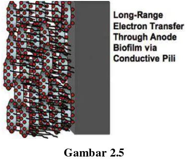  Gambar 2.5 Konduksi Elektron menggunakan Nanowires 