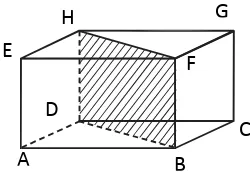 Gambar 2.10 Bidang Diagonal Balok 