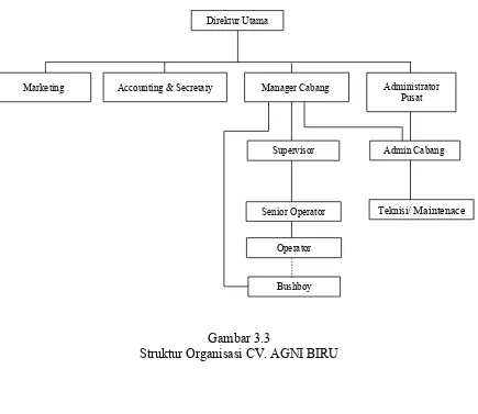 Gambar 3.3Struktur Organisasi CV. AGNI BIRU