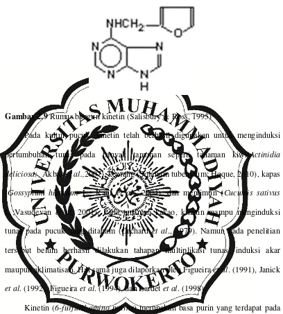 Gambar 2.9 Rumus bangun kinetin (Salisbury & Ross, 1995) 