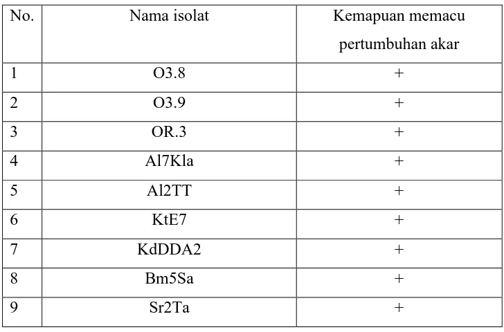 Tabel 4.3.  Daftar nama isolat rizobakteri yang dapat memacu pertumbuhan akar tanaman 