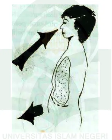 Gambar 8. Pernapasan perut (http://bodilyscientific.blogspot.com/) 