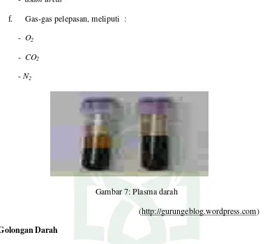 Gambar 7: Plasma darah 