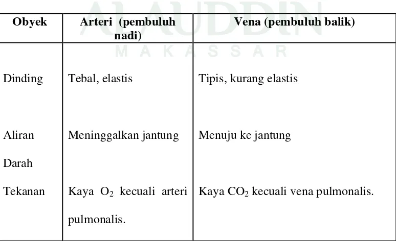 Tabel 2: Perbedaan antara arteri dan vena. 