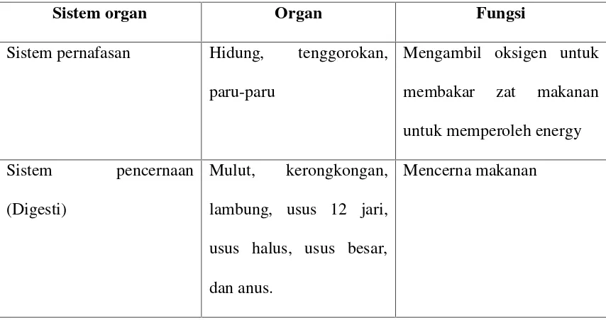 Tabel 2.1: Sistem organ pada hewan dan manusia.