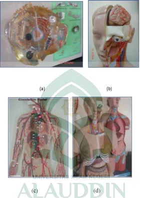 Gambar 2.1: (a) model sel dibuat karena ukuran objek sebenarnya terlalu kecil, (b)