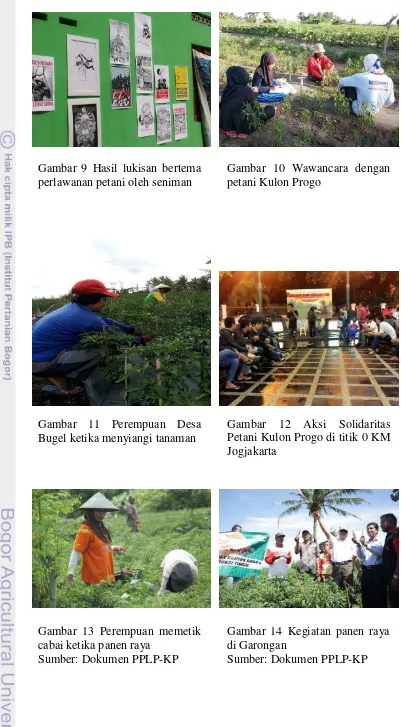 Gambar 10 Wawancara dengan petani Kulon Progo 