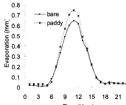 Fig. 7. Hourly evaporation 