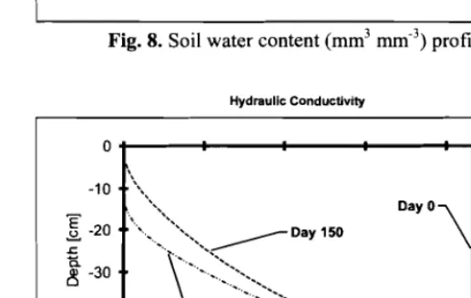 Fig. 8. Soil water content (mm3 mm-3) profile 