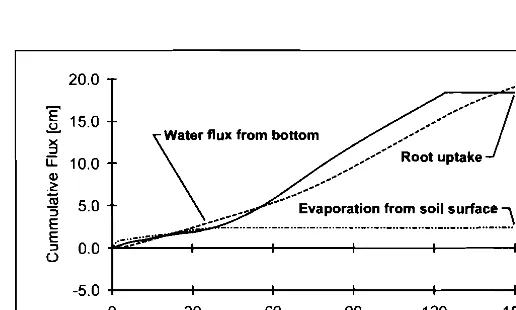 Fig. 10. Water flux profile in the soil column 