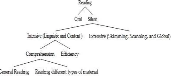Figure 1 The Divison of Reading  