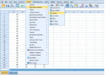 Figure 3.8 The Variable View in SPSS