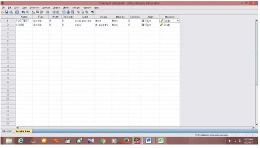 Figure 3.13 The Variable View in SPSS