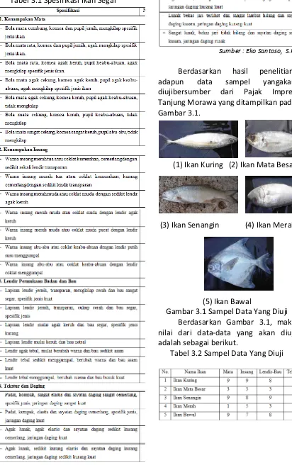 Tabel 3.1 Spesifikasi Ikan Segar