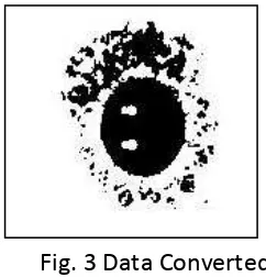 Fig. 3 Data Converted 