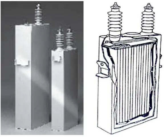 Gambar 1-2 Unit Kapasitor