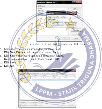 Gambar 19  Kotak dialog pembuatan field data 