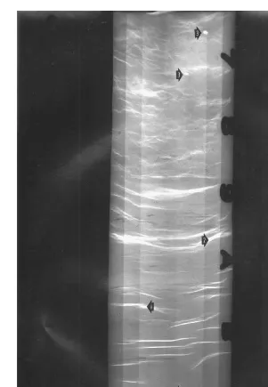 FIGURE 2.17Radiograph of Orinoco clay within a Shelby tube. (1980.From Day, 1980; Ladd et al.,)