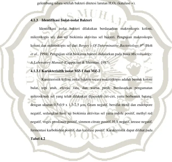 Tabel 4.2  