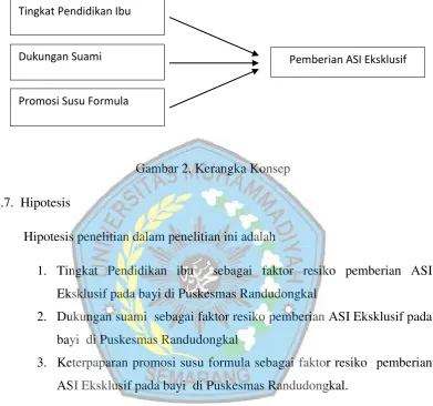 Gambar 2. Kerangka Konsep 