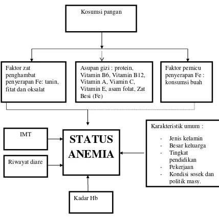 Gambar 1. Kerangka teori faktor-faktor yang mempengaruhi status anemia 