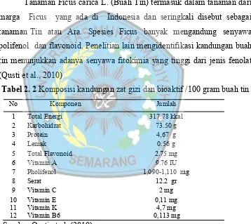 Tabel 2. 2 Komposisi kandungan zat gizi dan bioaktif /100 gram buah tin 