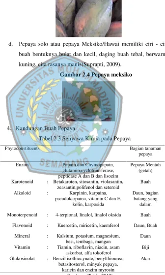 Gambar 2.4 Pepaya meksiko