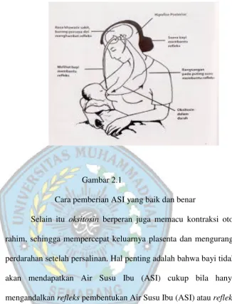 Gambar 2.1 Cara pemberian ASI yang baik dan benar 