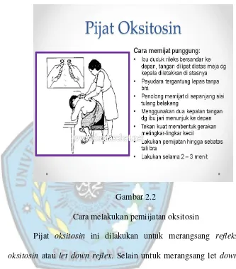 Gambar 2.2 Cara melakukan pemiijatan oksitosin 