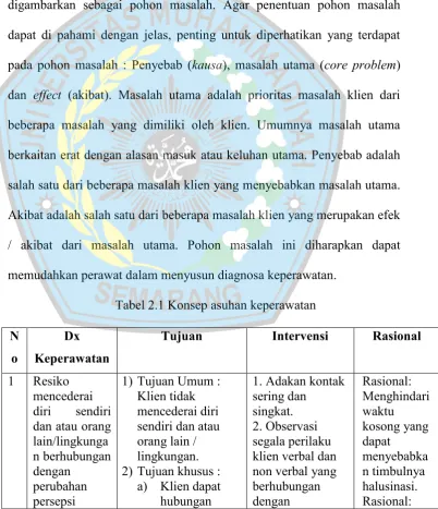 Tabel 2.1 Konsep asuhan keperawatan 