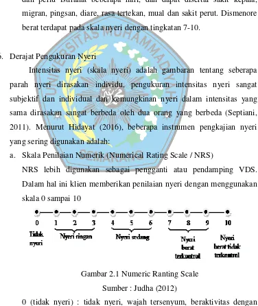 Gambar 2.1 Numeric Ranting Scale 