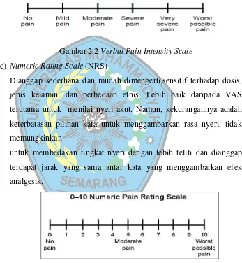 Gambar 2.3 Numeric Pain Rating Scale 