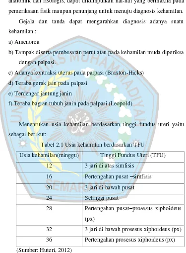 Tabel 2.1 Usia kehamilan berdasarkan TFU 