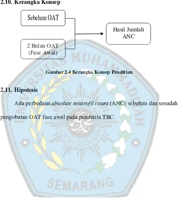 Gambar 2.4 Kerangka Konsep Penelitian 