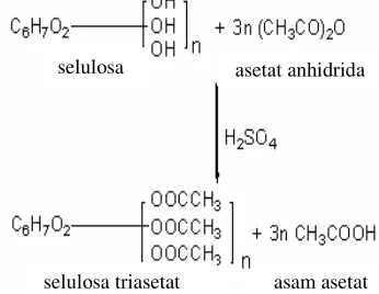 Gambar 2  Reaksi asetilasi selulosa asetat                   (Anonim 2005). 