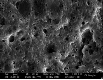 Gambar 10  SEM membran selulosa asetat  