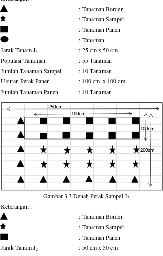 Gambar 3.3 Denah Petak Sampel J2 